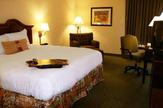 Hotel Hampton Inn Houston-brookhollow