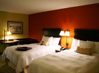 Hotel Hampton Inn Houston Near The Galleria
