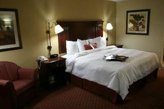 Hotel Hampton Inn Houston-the Woodlands