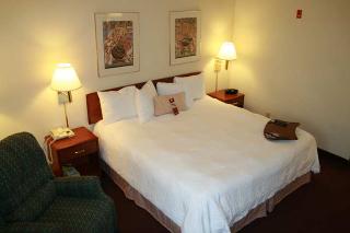 Hotel Hampton Inn Houston Willowbrook Mall