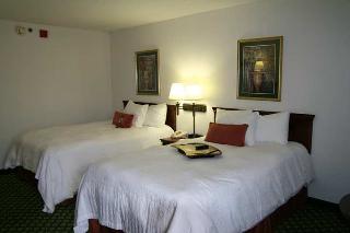 Hotel Hampton Inn Huntsville-arsenal-south Pkway