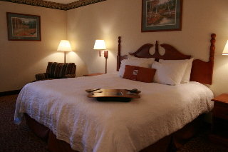 Hotel Hampton Inn I-24 West Lookout Mtn
