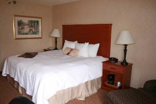 Hotel Hampton Inn Iowa City-coralville