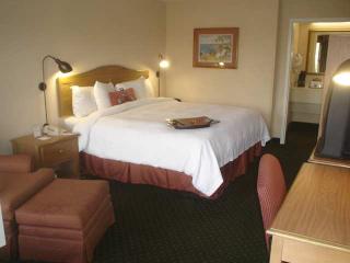 Hotel Hampton Inn Jacksonville-orange Park