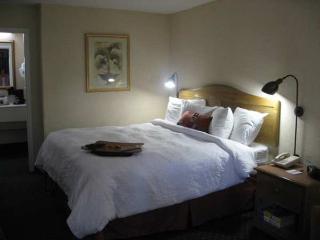 Hotel Hampton Inn Jacksonville-orange Park