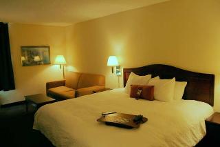 Hotel Hampton Inn Kansas City-airport