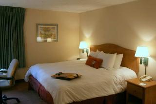 Hotel Hampton Inn Knoxville-airport