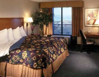 Hotel Hampton Inn Lake Havasu