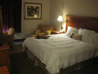 Hotel Hampton Inn Laredo