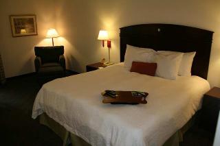Hotel Hampton Inn Lawrenceville