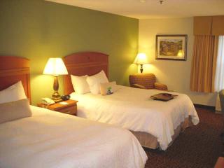 Hotel Hampton Inn Lexington-south