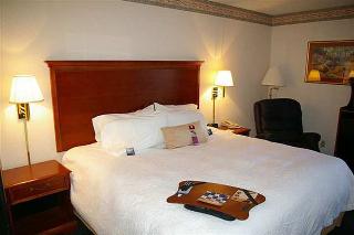 Hotel Hampton Inn Lynchburg