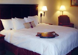Hotel Hampton Inn Manheim
