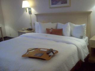 Hotel Hampton Inn Martinsville