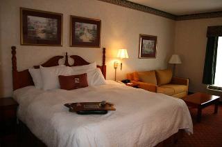 Hotel Hampton Inn Medina