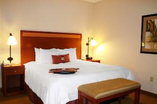 Hotel Hampton Inn Montgomery-south-airport