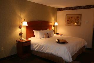 Hotel Hampton Inn Mt. Vernon