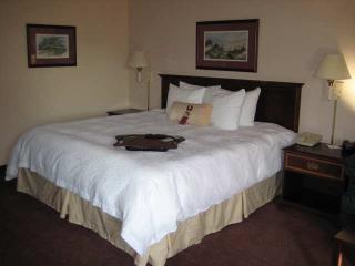 Hotel Hampton Inn North Myrtle Beach-harbourgate