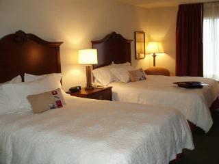 Hotel Hampton Inn Odessa