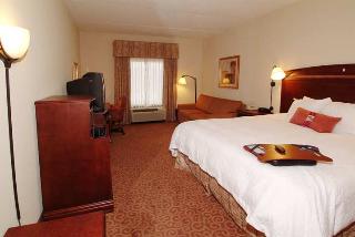 Hotel Hampton Inn Oneonta