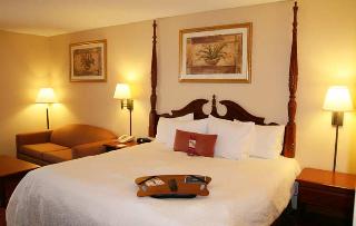 Hotel Hampton Inn Orlando-maingate South