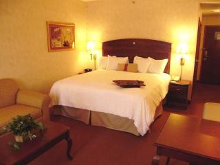 Hotel Hampton Inn Owego