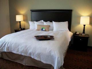 Hotel Hampton Inn Pecos