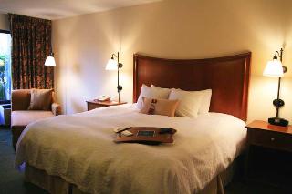 Hotel Hampton Inn Pigeon Forge-on The River