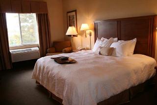 Hotel Hampton Inn Pittsburgh Area-beaver Valley-ctr
