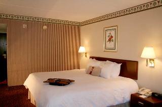 Hotel Hampton Inn Pittsburgh-mcknight Rd.