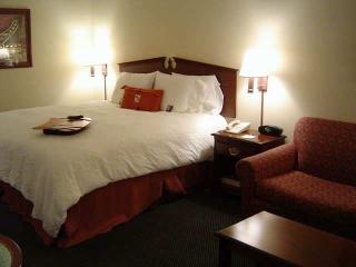 Hotel Hampton Inn Raleigh-garner