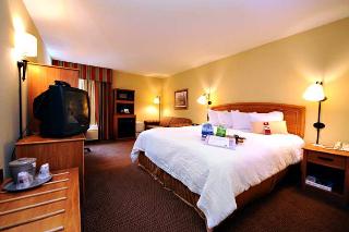 Hotel Hampton Inn Raleigh Midtown