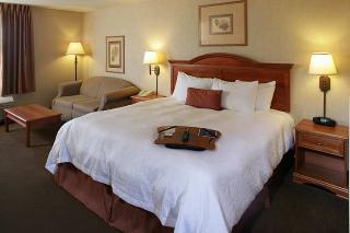 Hotel Hampton Inn Rapid City