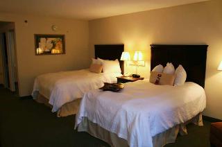 Hotel Hampton Inn Richmond Southwest Hull Street