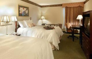 Hotel Hampton Inn Richmond Southwest Hull Street