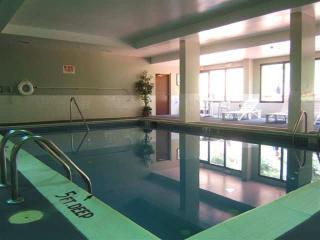 Hotel Hampton Inn Roanoke-hollins-i-81