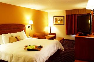 Hotel Hampton Inn Rochester