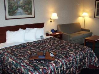 Hotel Hampton Inn Rochester-north