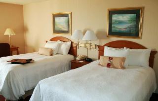 Hotel Hampton Inn Saginaw-frankenmuth Area