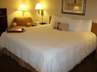 Hotel Hampton Inn San Angelo