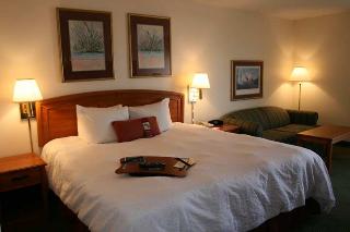 Hotel Hampton Inn San Antonio-northwest-seaworld
