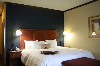 Hotel Hampton Inn Seguin
