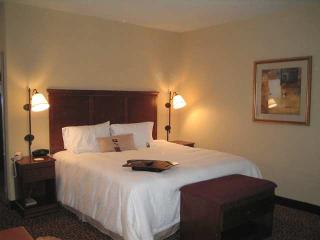 Hotel Hampton Inn Seguin