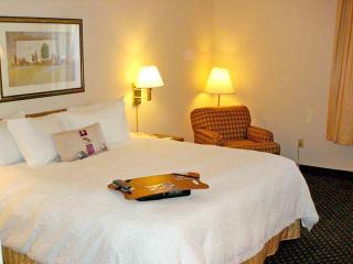 Hotel Hampton Inn South Bend-mishawaka