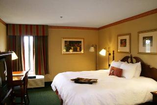 Hotel Hampton Inn South Haven