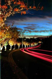 Hotel Hampton Inn Spokane
