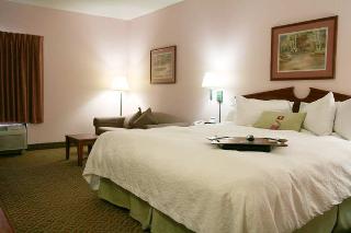 Hotel Hampton Inn Spring Hill
