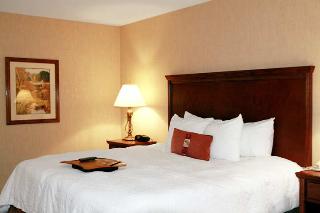 Hotel Hampton Inn St. Louis-airport
