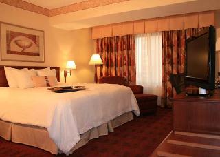 Hotel Hampton Inn St. Louis Downtown At The Arch