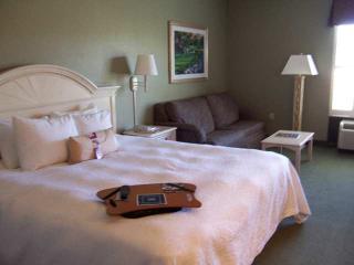 Hotel Hampton Inn St. Simons Island